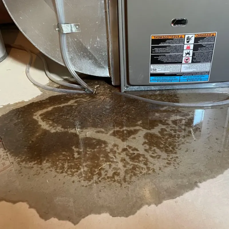 Pipe Burst and Leak Restoration in Bethel Park, PA