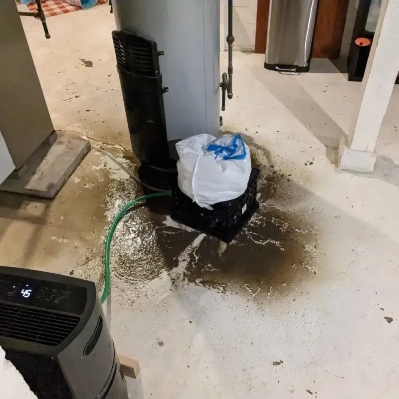 Sewage Backup Cleanup Service in Bethel Park, PA